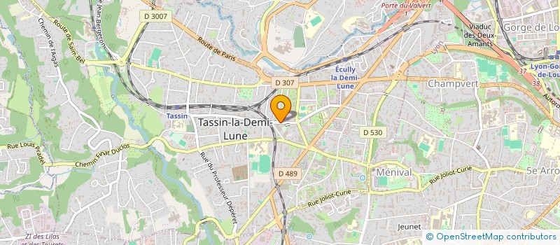 localisation de l'entreprise SCM MEDICAL DU BOIS DIEU  TASSIN-LA-DEMI-LUNE