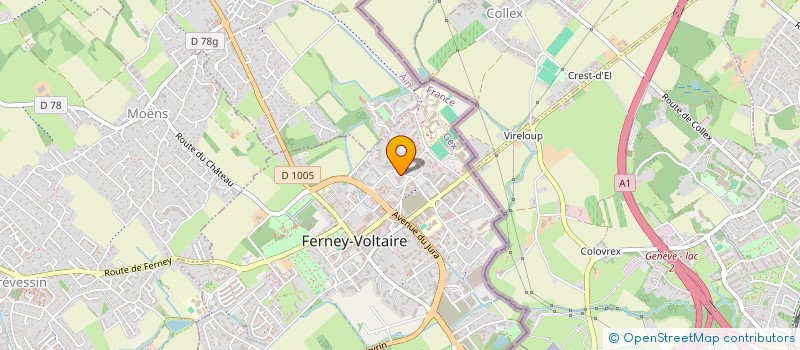 localisation de l'entreprise SCM MEDICALE DES SABLONS à FERNEY-VOLTAIRE