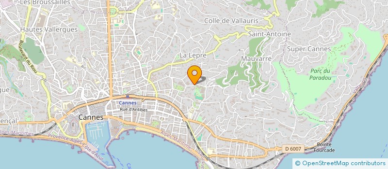 localisation de l'entreprise SCM MONTFLEURY  CANNES