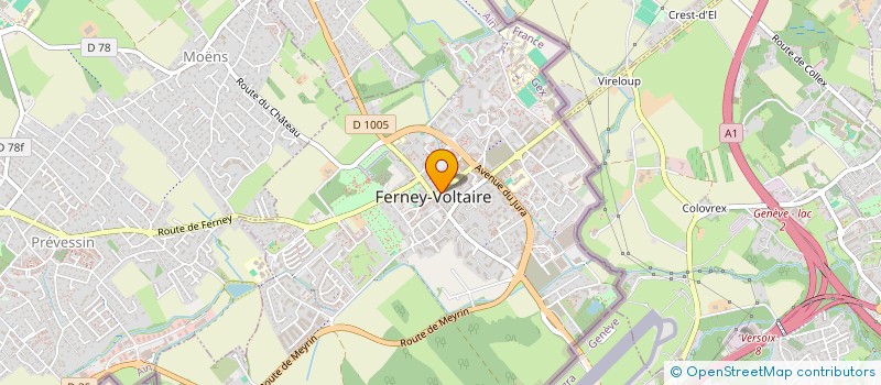 localisation de l'entreprise SCM OLIVIER BADEL ET JEROME CHOUDIN à FERNEY-VOLTAIRE