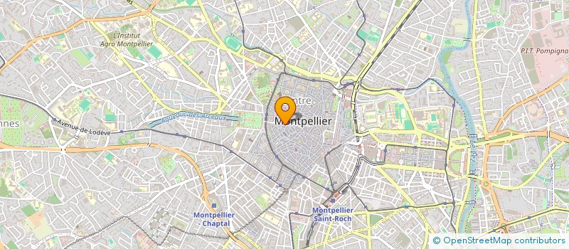 localisation de l'entreprise SCM RUE FOCH à MONTPELLIER