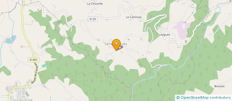 localisation de l'entreprise SCM SANTEDENTAIRE1  PUYCAPEL