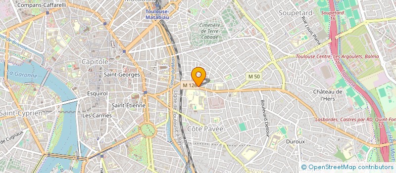 localisation de l'entreprise SCM SINDOU-CANTAGREL DUHAYON PALAS à TOULOUSE