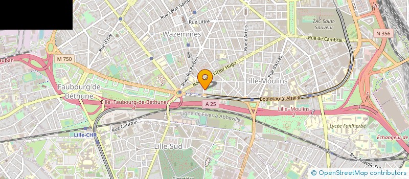 localisation de l'entreprise SCM THEMES AVOCATS  LILLE