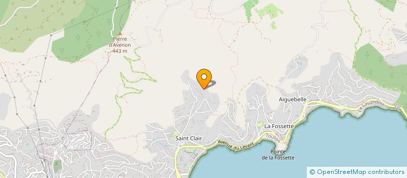 localisation de l'entreprise SCP BOUSQUET à LE LAVANDOU