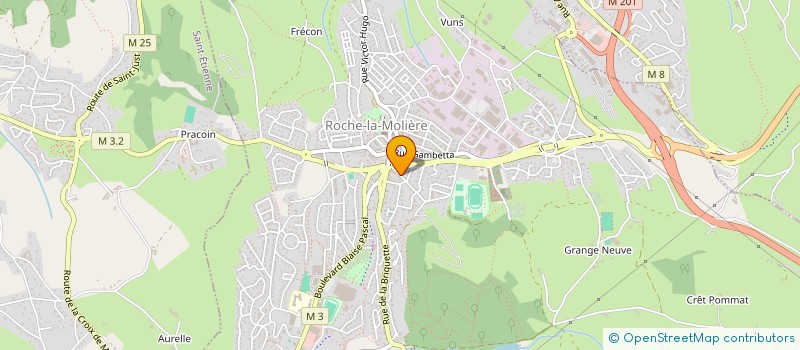 localisation de l'entreprise SCP DE MASSEURS KINESITHERAPEUTES BERARD TRESCARTES ARNAUD CORRADO  ROCHE-LA-MOLIERE