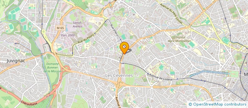 localisation de l'entreprise SCP DES DOCTEURS BORDERIE BOURBON GROSJEAN LEBLAY ET GENTY à MONTPELLIER