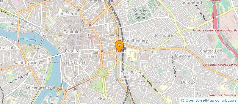 localisation de l'entreprise SCP MEZARD - LE NOAN  TOULOUSE