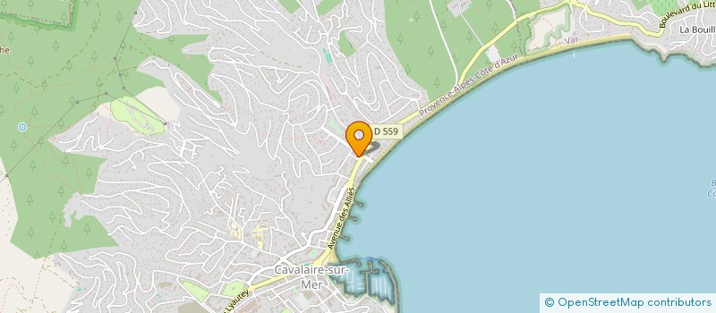 localisation de l'entreprise SDDF à CAVALAIRE-SUR-MER