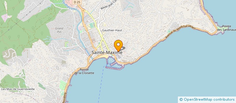 localisation de l'entreprise SDF DE SEIXAS RIBEIRO PATRICIA ET VERONIQUE à SAINTE-MAXIME