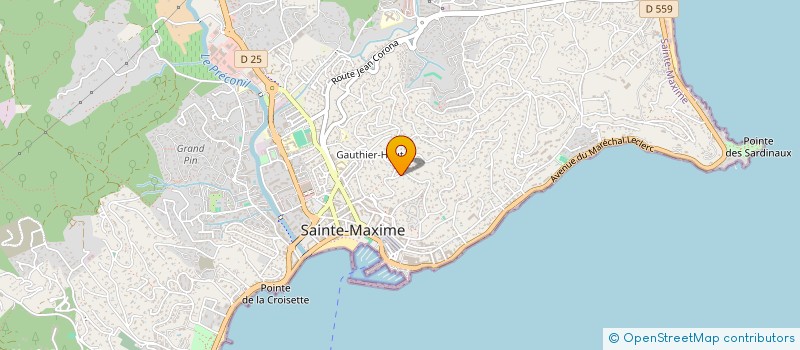 localisation de l'entreprise SDF FAZZINI JONES à SAINTE-MAXIME