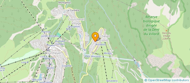 localisation de l'entreprise SDF HARRIES RANSOM à COURCHEVEL