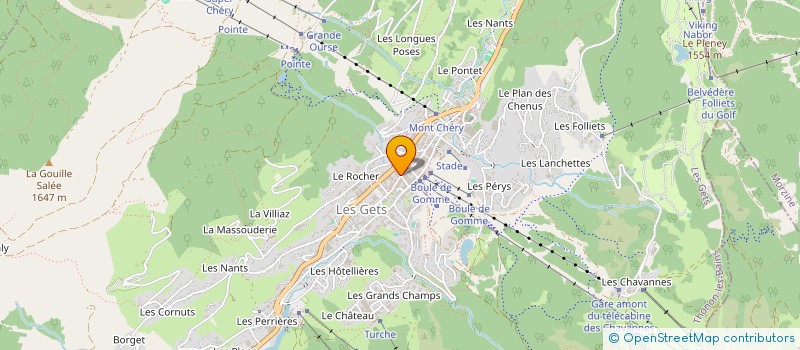 localisation de l'entreprise SDF LIGHTBODY  LES GETS