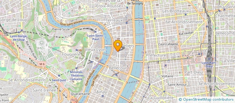 localisation de l'entreprise SDGV  LYON