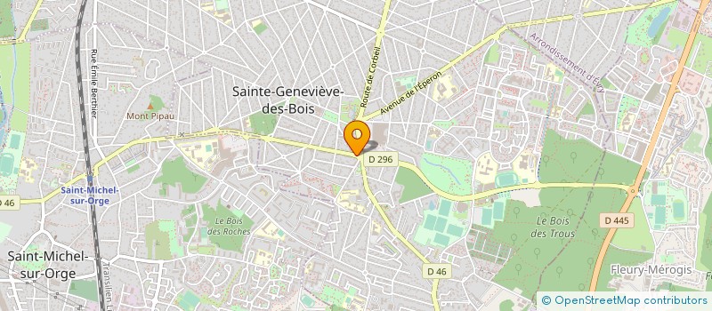localisation de l'entreprise SDSN COIFFURE à SAINTE-GENEVIEVE-DES-BOIS