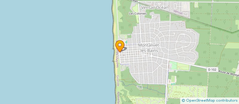 localisation de l'entreprise SEASTER'S  VENDAYS-MONTALIVET