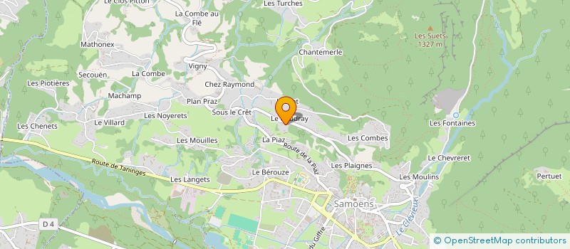 localisation de l'entreprise SEBB à SAMOENS
