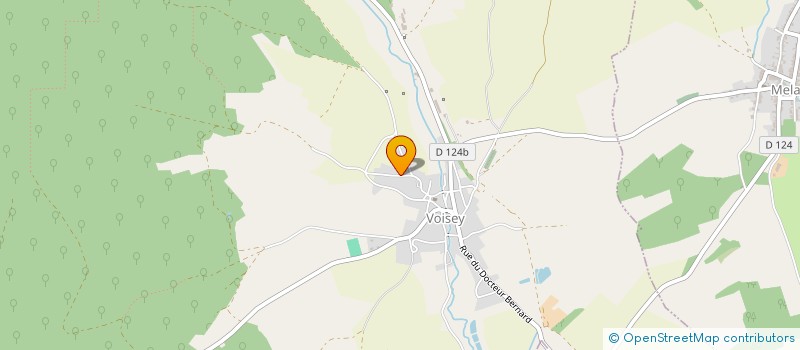 localisation de l'entreprise SECAM à BOURBONNE-LES-BAINS