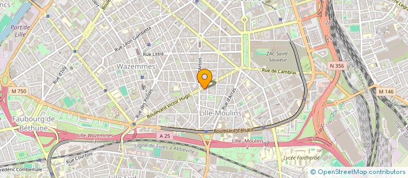 localisation de l'entreprise SECTION VIZION MUZIK PROD à LILLE