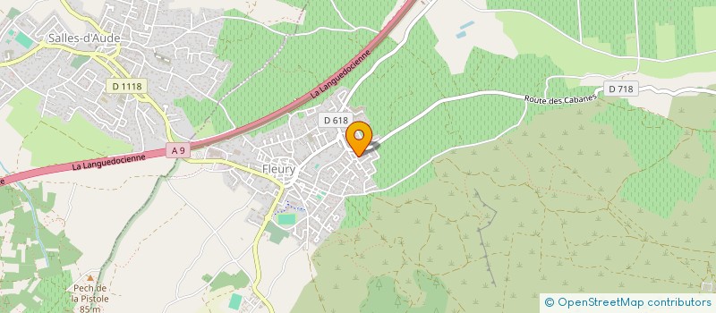 localisation de l'entreprise SECU-PRO-CONSEILS  FLEURY