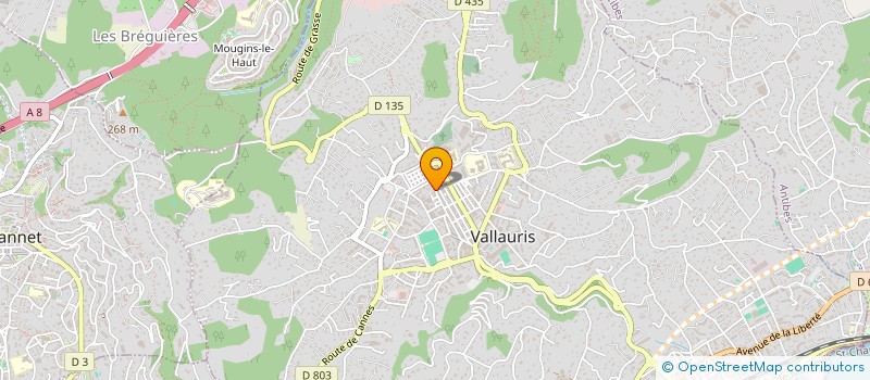 localisation de l'entreprise SECURELEC à VALLAURIS