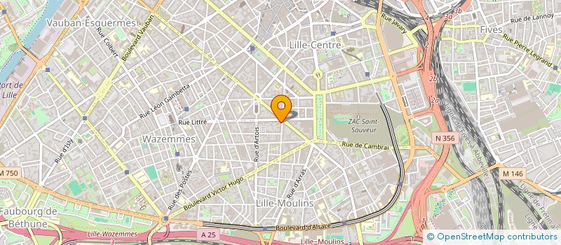 localisation de l'entreprise SECURITY HOLDING HLL DES CARPATES à LILLE
