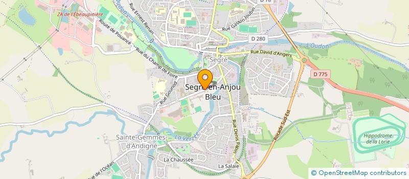 localisation de l'entreprise SEGRE PNEUS ET ACCCESSOIRES à SEGRE-EN-ANJOU BLEU