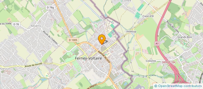 localisation de l'entreprise SEL'AUTO à FERNEY-VOLTAIRE