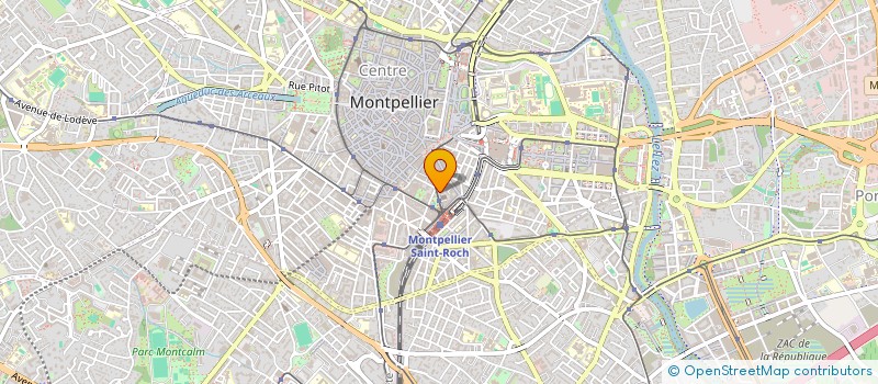 localisation de l'entreprise SEL DR NEGRE à MONTPELLIER