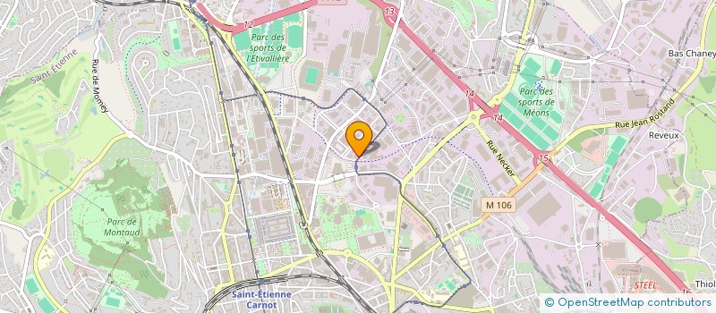 localisation de l'entreprise SEL DU DOCTEUR MALOSSE-BILLARD  SAINT-ETIENNE