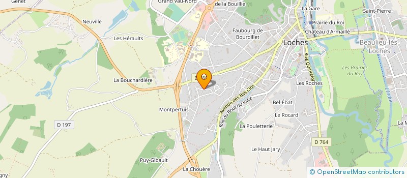 localisation de l'entreprise SELARL ANNE CHEVALIER-GIRAUD  LOCHES