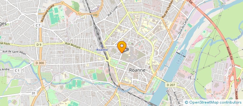localisation de l'entreprise SELARL ARDELEAN-SITA à ROANNE