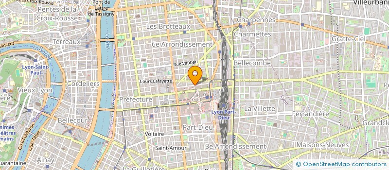 localisation de l'entreprise SELARL CABINET TRONCHET  LYON