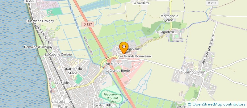 localisation de l'entreprise SELARL CHENESSEAU A  SAINT-VIVIEN