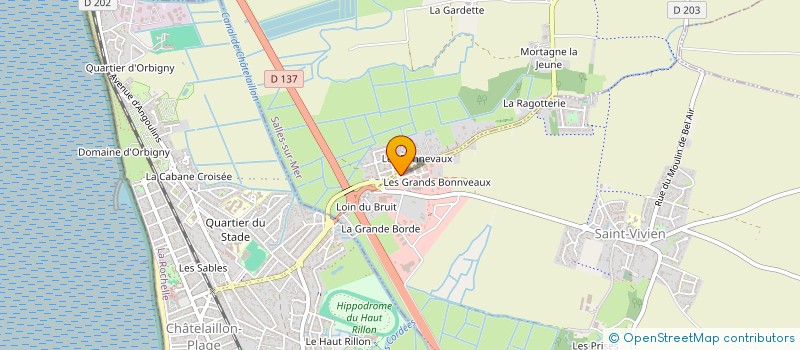 localisation de l'entreprise SELARL CHENESSEAU F  SAINT-VIVIEN