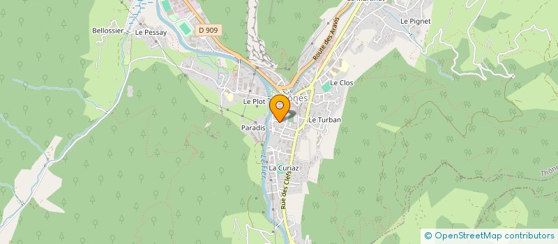 localisation de l'entreprise SELARL CHIRURG DENTISTES LES BESSEAUX  THONES