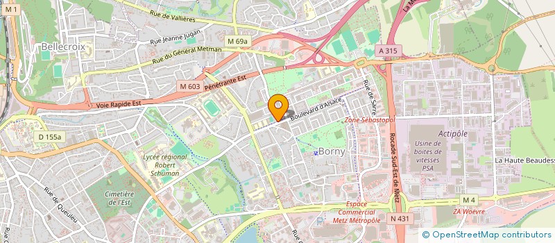 localisation de l'entreprise SELARL CLINIQUE VETERINAIRE P.GOERLINGER  METZ