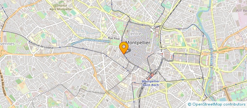 localisation de l'entreprise SELARL CVTR VETERINAIRE à MONTPELLIER