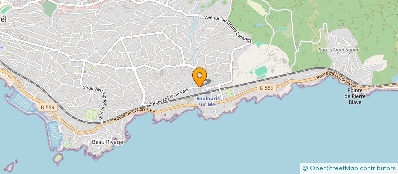 localisation de l'entreprise SELARL DE CHIRURGIEN-DENTISTE DU DOCTEUR TAIEB à SAINT-RAPHAEL