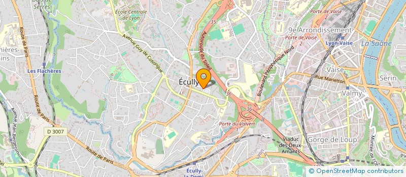 localisation de l'entreprise SELARL DE CHIRURGIENS-DENTISTES DE L'OUEST LYONNAIS à ECULLY