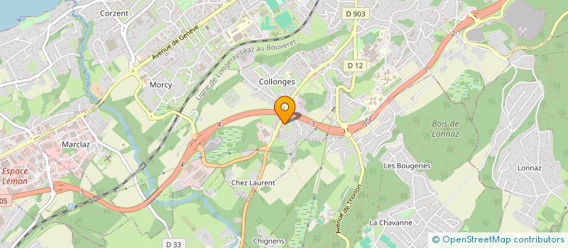 localisation de l'entreprise SELARL DE LA CLINIQUE VETERINAIRE DE LA VERSOIE à THONON-LES-BAINS