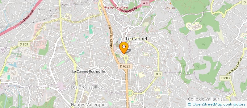localisation de l'entreprise SELARL DOCTEUR ESTELLE BERRUYER à LE CANNET