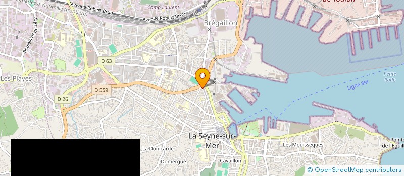 localisation de l'entreprise SELARL DOCTEUR RAPHAEL DAHAN à LA SEYNE-SUR-MER