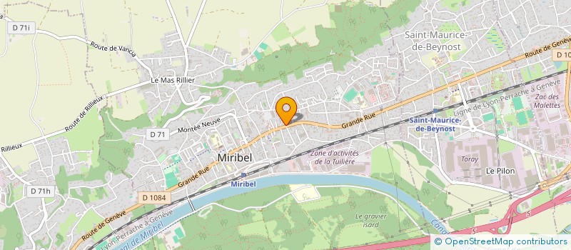 localisation de l'entreprise SELARL DU CABINET DU DOCTEUR REMORINI à MIRIBEL