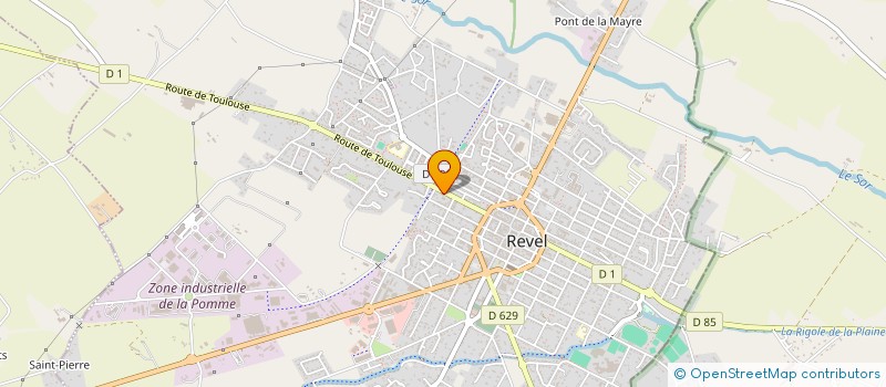 localisation de l'entreprise SELARL DU DOCTEUR ANAIS RUMERIO  REVEL