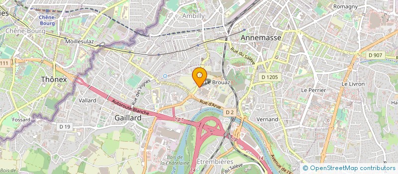 localisation de l'entreprise SELARL DU DOCTEUR BENAMAR  ANNEMASSE