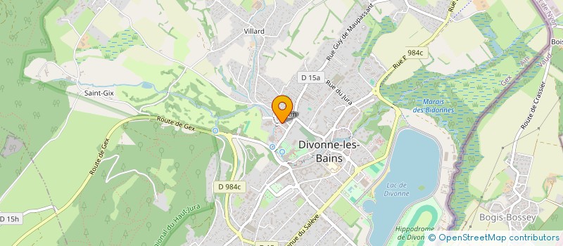 localisation de l'entreprise SELARL DU DOCTEUR DANIELA BERGENDAHL  DIVONNE-LES-BAINS