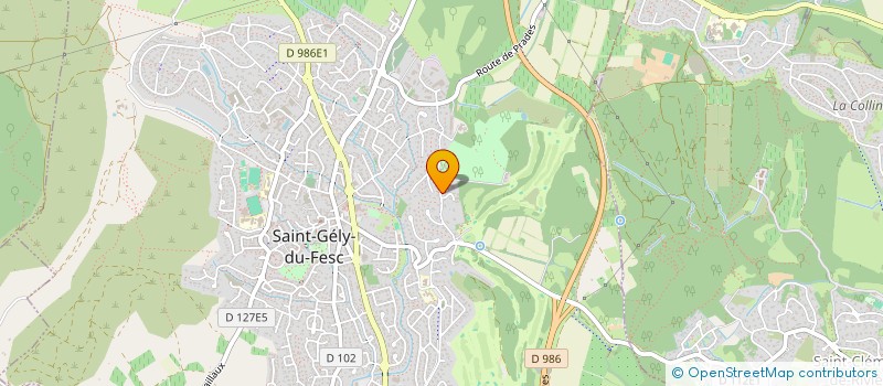 localisation de l'entreprise SELARL DU DOCTEUR FRANCK RASCHILAS à SAINT-GELY-DU-FESC