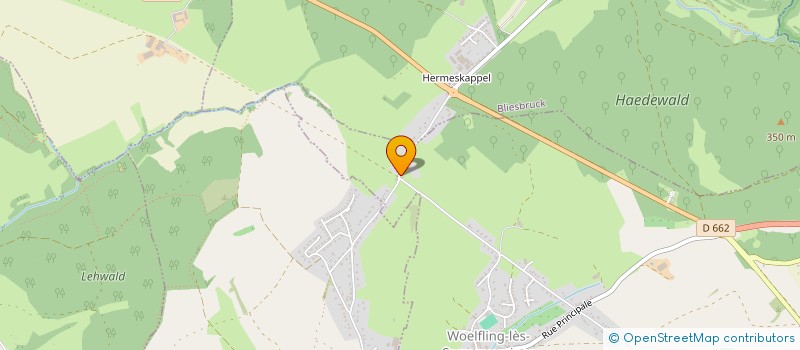 localisation de l'entreprise SELARL DU DOCTEUR MANDERS  WLFLING-LES-SARREGUEMINES