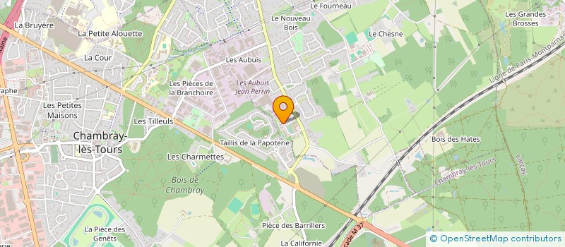 localisation de l'entreprise SELARL DU DOCTEUR MARION GUDZY  SAINT-AVERTIN